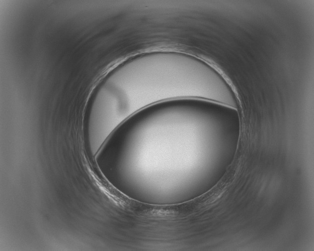 X0000081270437200701110912