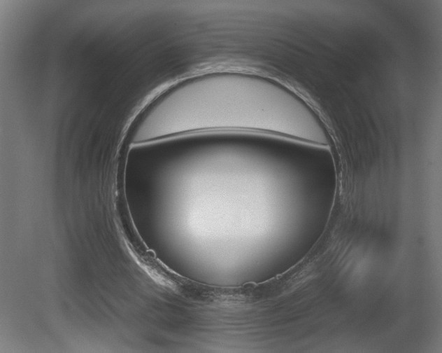X0000081270438200701110912