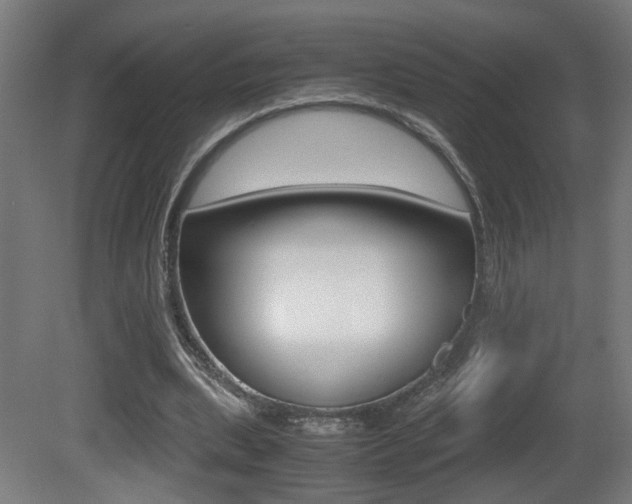 X0000081270439200701110912