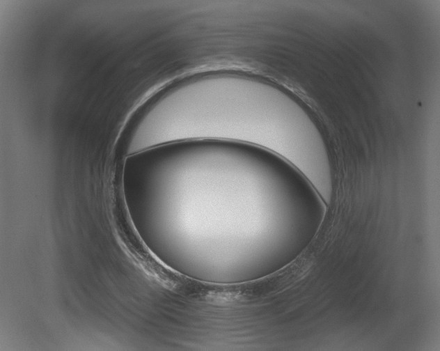 X0000081270440200701110912