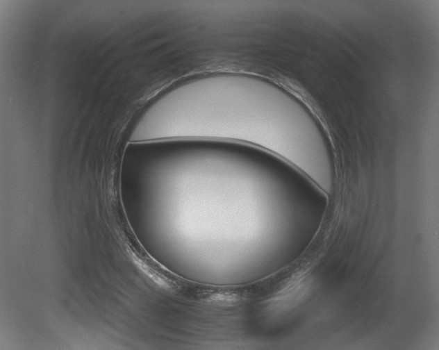 X0000081270441200701110912