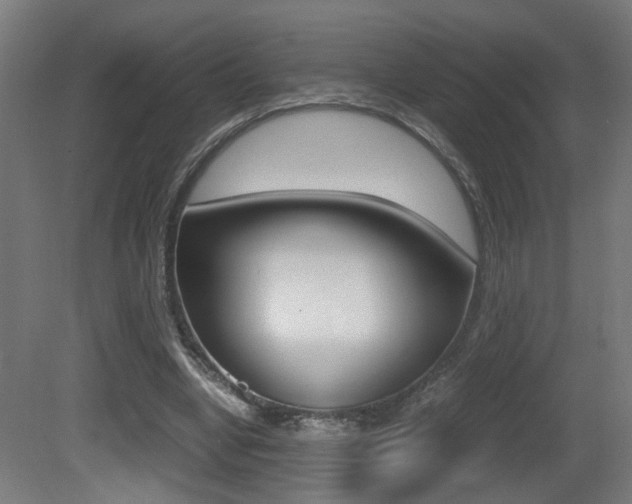X0000081270442200701110912