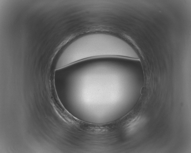 X0000081270443200701110912