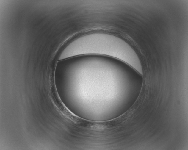 X0000081270444200701110912