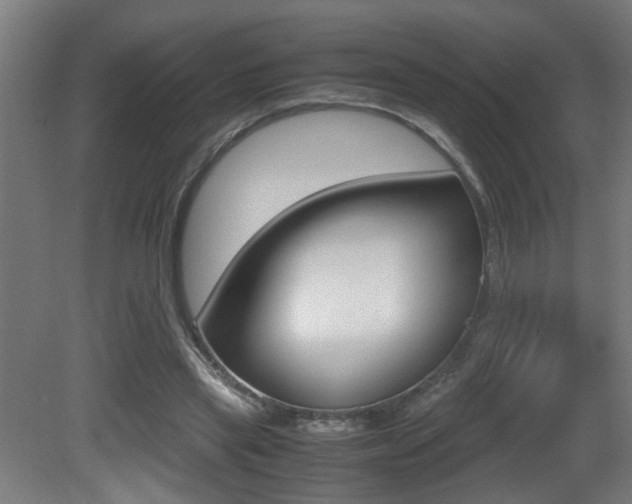 X0000081270445200701110912