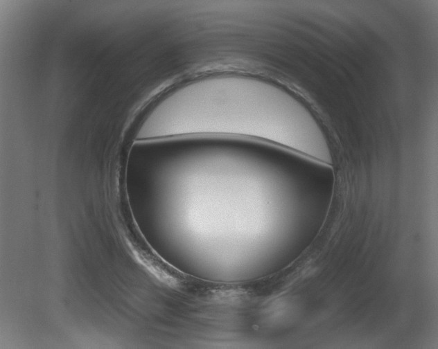 X0000081270446200701110912