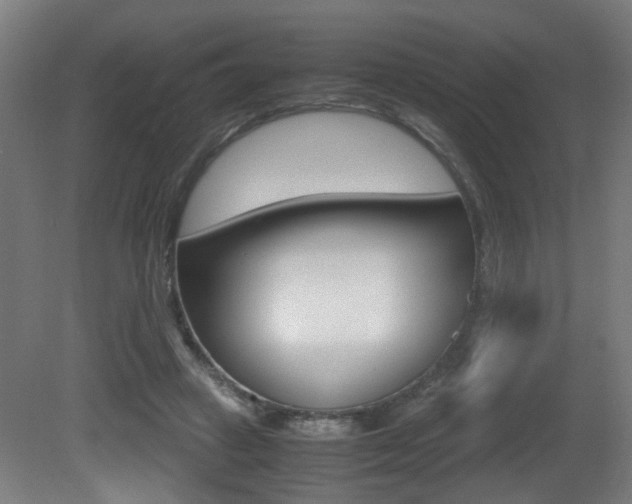 X0000081270449200701110912