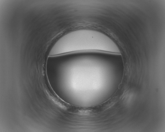 X0000081270450200701110912