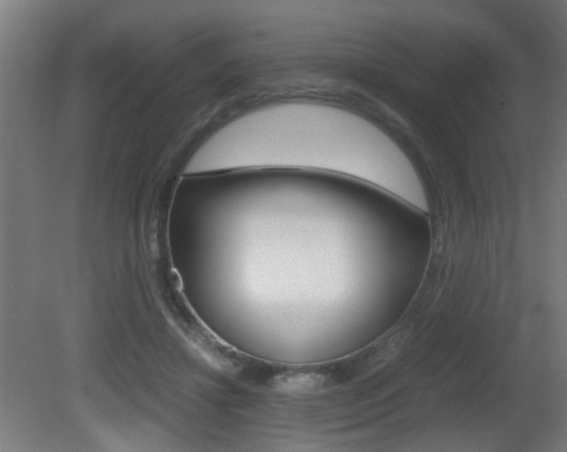 X0000081270452200701110912