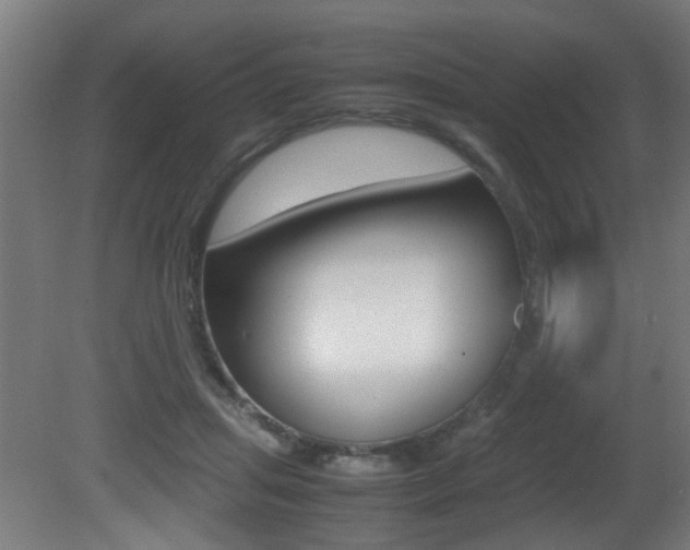 X0000081270455200701110912