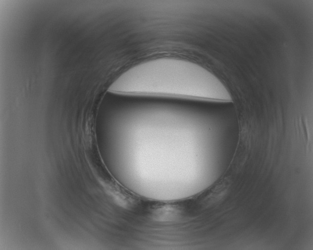 X0000081270460200701110912