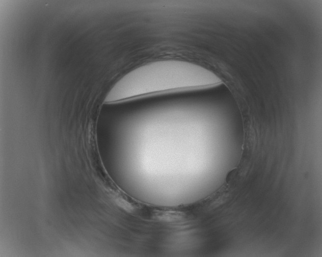 X0000081270463200701110912