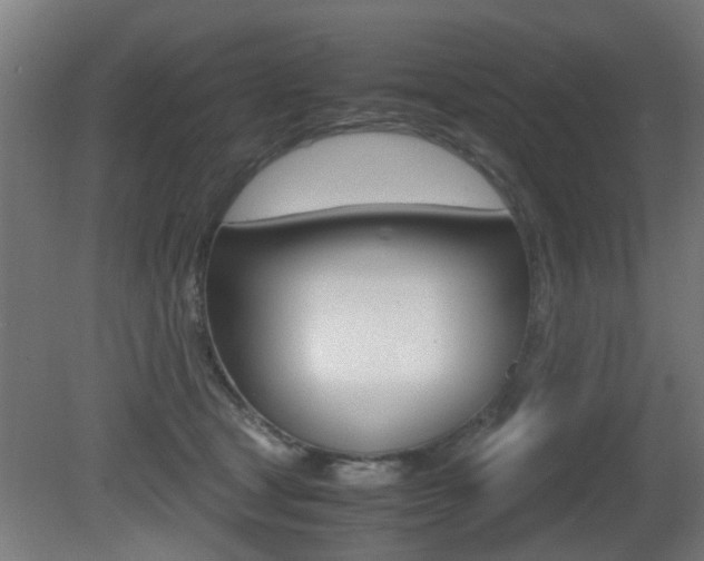 X0000081270465200701110912