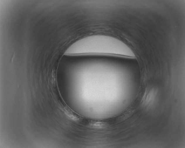 X0000081270467200701110912