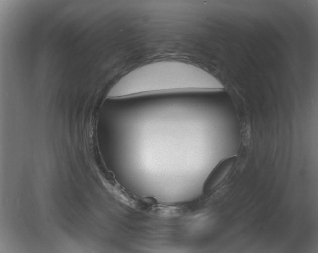 X0000081270472200701110912
