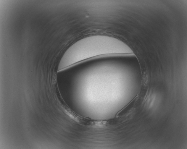 X0000081270474200701110912
