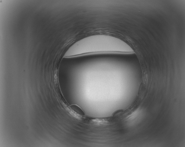 X0000081270477200701110912