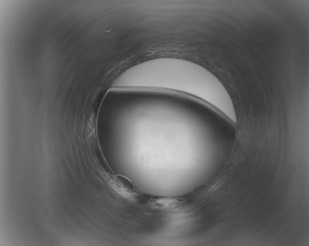 X0000081270478200701110912
