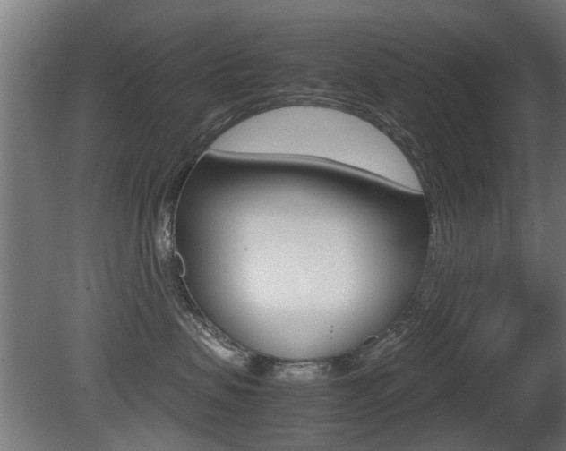 X0000081270479200701110912