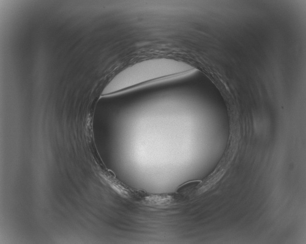 X0000081270480200701110912
