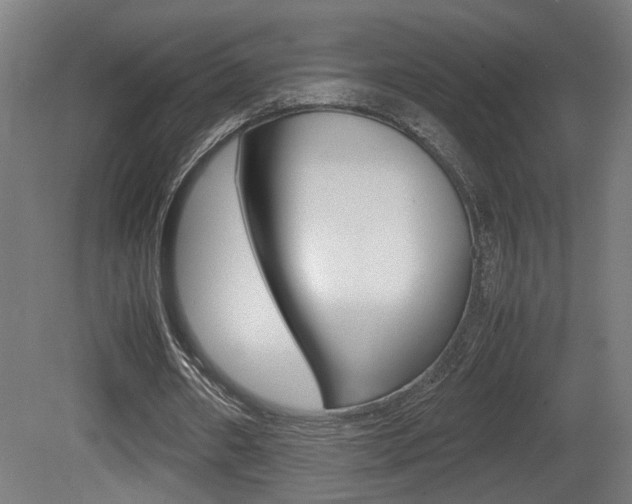 X0000081270482200701110912