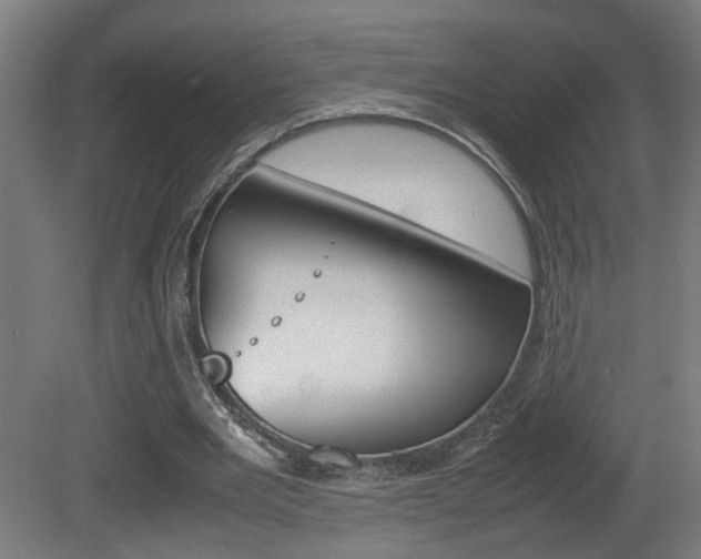 X0000081270485200701110912