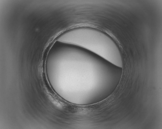 X0000081270486200701110912