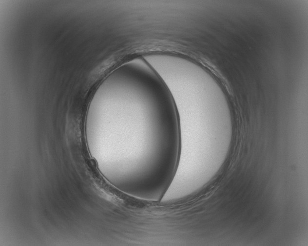 X0000081270489200701110911