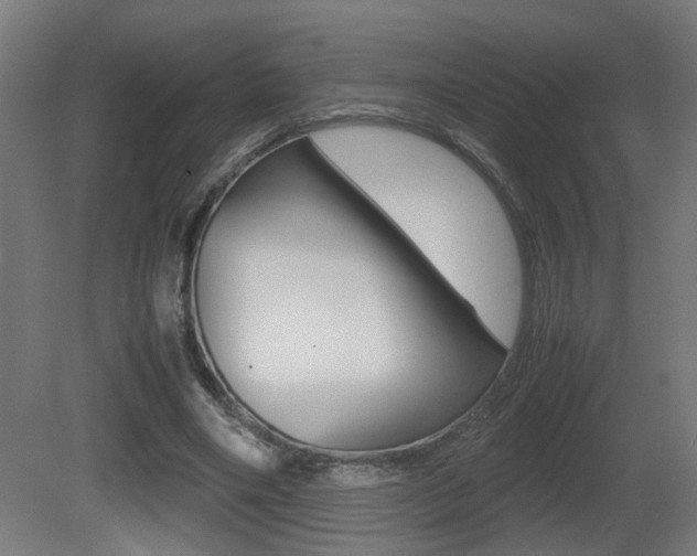 X0000081270490200701110911