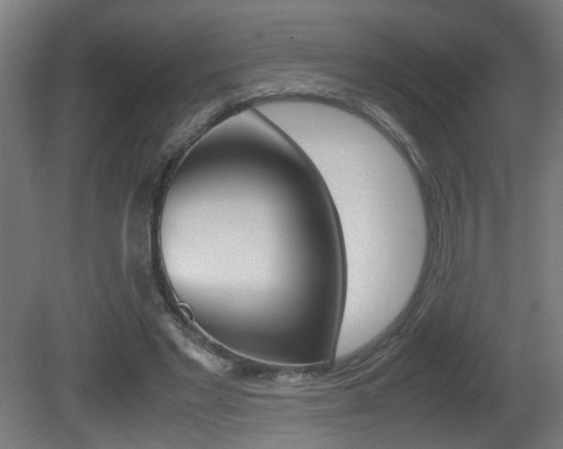 X0000081270493200701110911