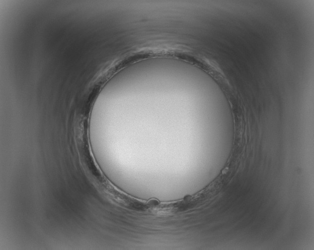 X0000081270495200701110911