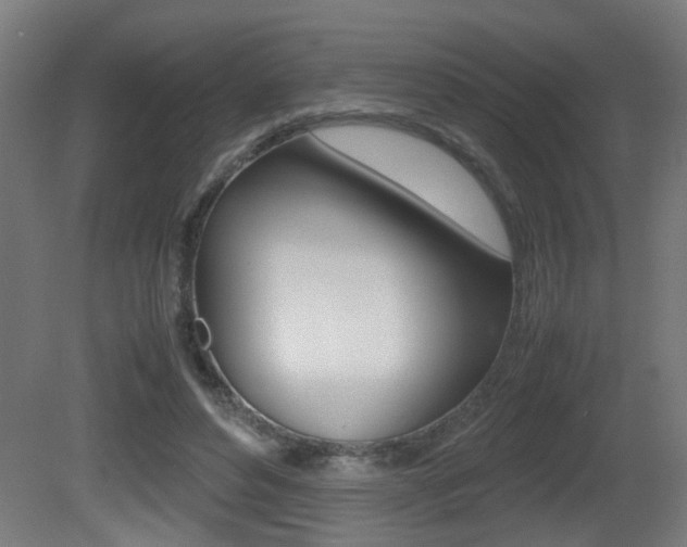 X0000081270496200701110911