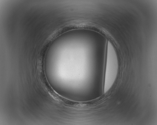 X0000081270497200701110911