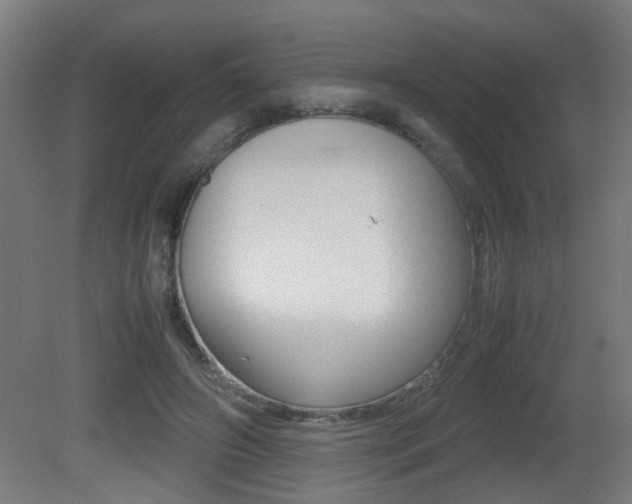 X0000081270498200701110911