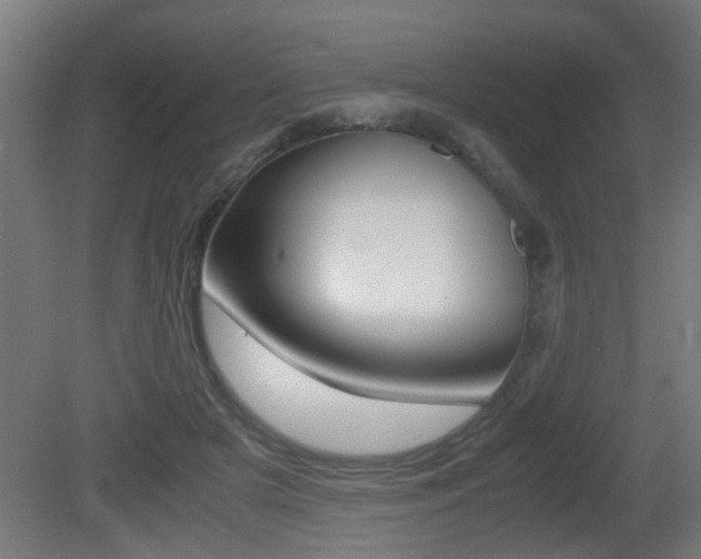 X0000081270505200701110911