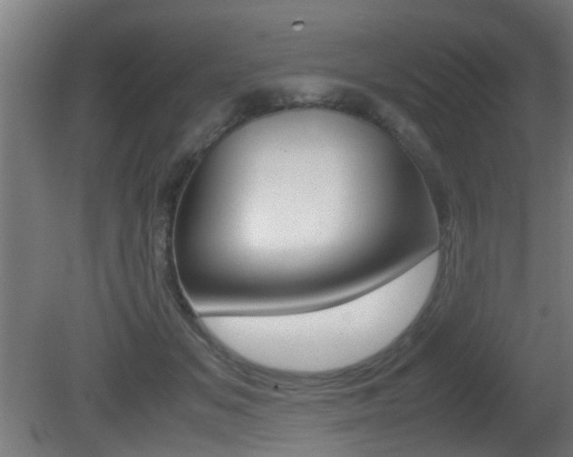 X0000081270509200701110911
