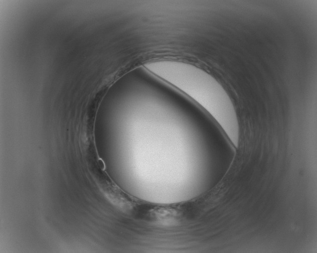 X0000081270512200701110911