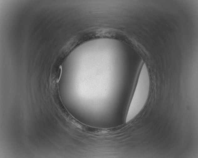 X0000081270513200701110911