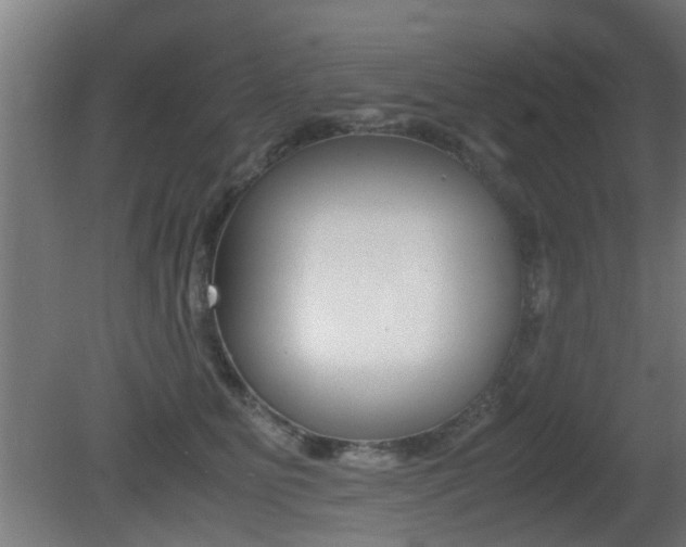 X0000081270515200701110911