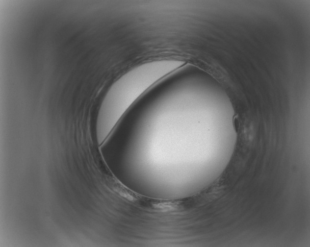 X0000081270516200701110911