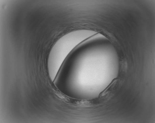 X0000081270517200701110911