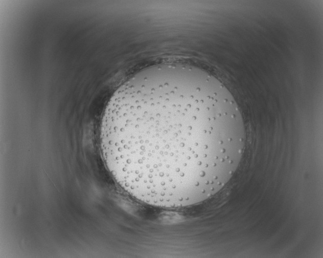 X0000081270519200701110911