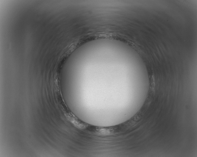 X0000081270522200701110911