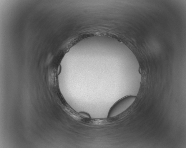 X0000081270527200701110911