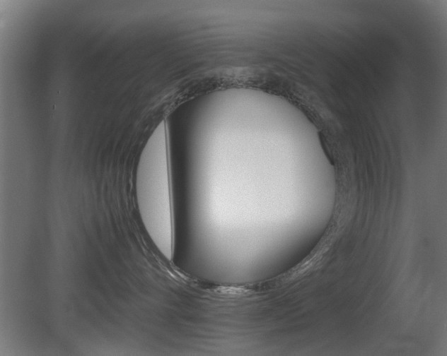 X0000081270528200701110911