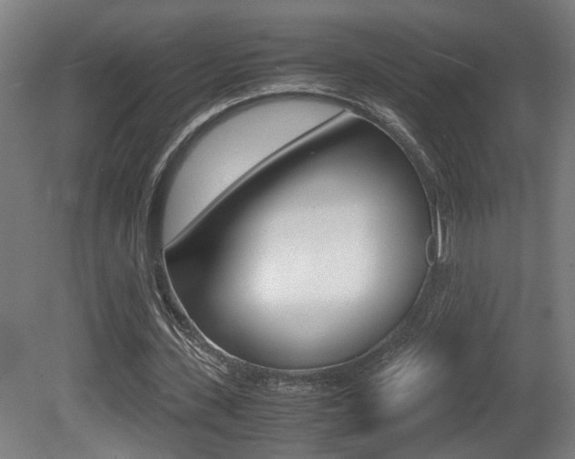 X0000081270531200701110910