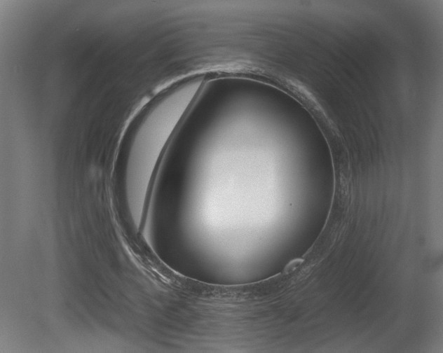 X0000081270532200701110910