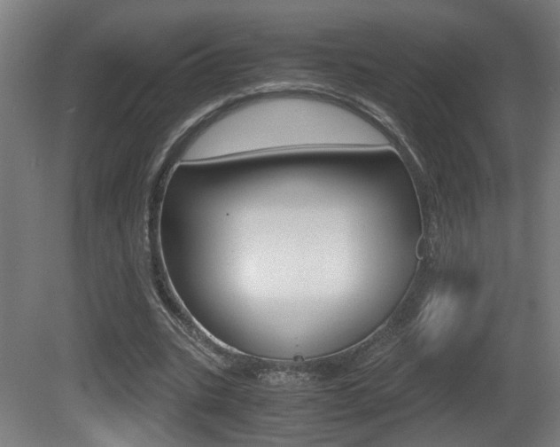 X0000081270535200701110910