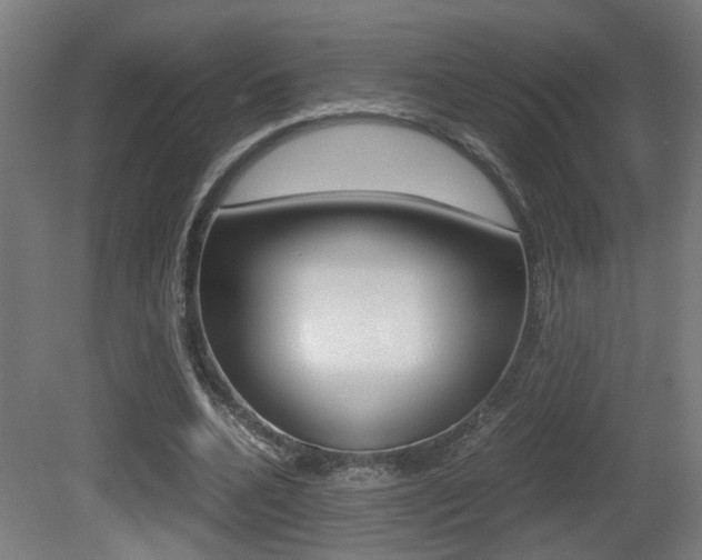 X0000081270536200701110910