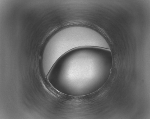 X0000081270538200701110910